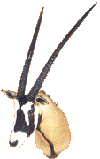 a (200).gif